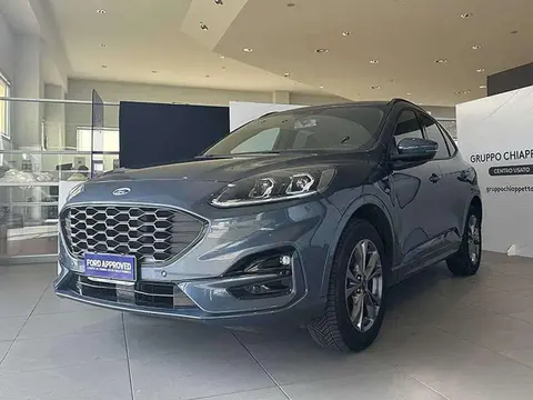 Annonce FORD KUGA Essence 2021 d'occasion 