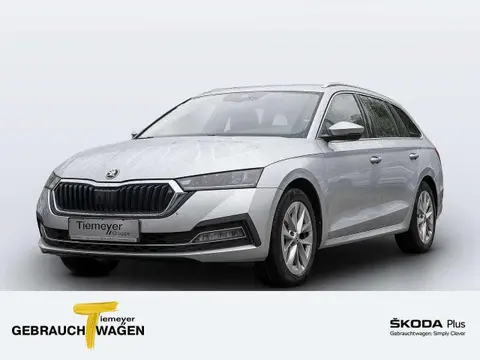 Annonce SKODA OCTAVIA Diesel 2021 d'occasion 