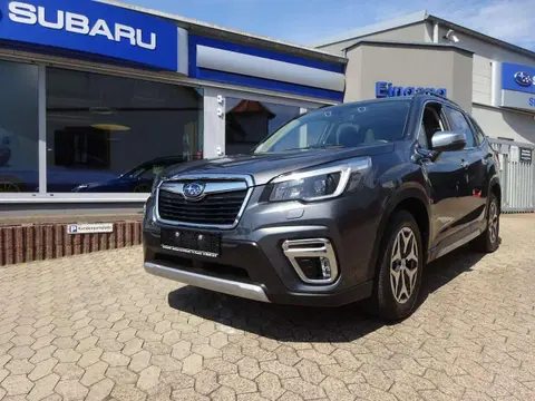 Used SUBARU FORESTER Hybrid 2021 Ad 