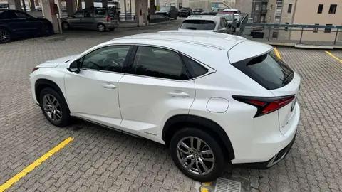 Used LEXUS NX Hybrid 2019 Ad 