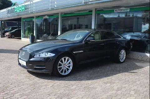 Annonce JAGUAR XJ Essence 2016 d'occasion 