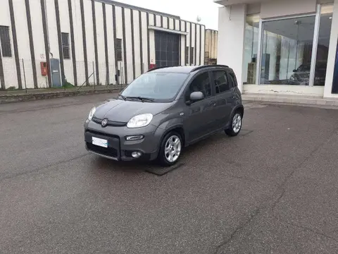 Used FIAT PANDA Hybrid 2023 Ad 