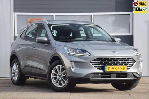 Used FORD KUGA Hybrid 2022 Ad 