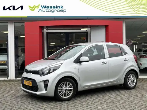 Used KIA PICANTO Petrol 2023 Ad 