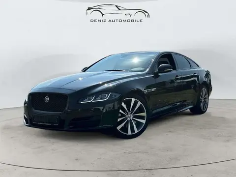 Used JAGUAR XJ Diesel 2016 Ad 