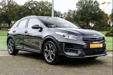 Annonce KIA XCEED Hybride 2021 d'occasion 