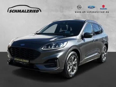 Annonce FORD KUGA Hybride 2024 d'occasion 