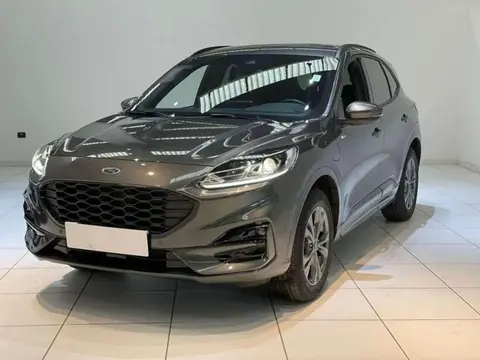 Annonce FORD KUGA Hybride 2023 d'occasion 