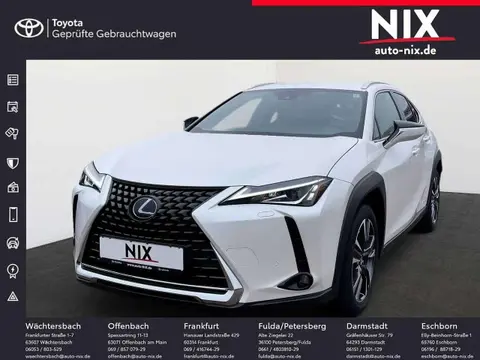 Annonce LEXUS UX Hybride 2020 d'occasion 