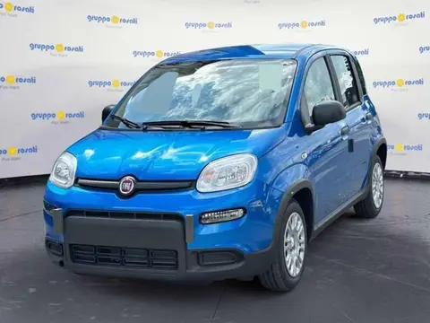 Annonce FIAT PANDA Hybride 2024 d'occasion 