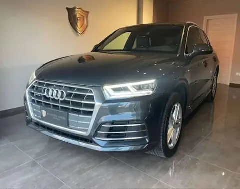 Used AUDI Q5 Diesel 2019 Ad 