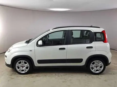 Annonce FIAT PANDA Hybride 2022 d'occasion 