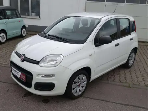 Used FIAT PANDA Petrol 2016 Ad 