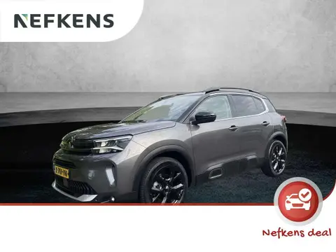 Annonce CITROEN C5 AIRCROSS Hybride 2024 d'occasion 