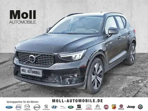 Used VOLVO XC40 Hybrid 2023 Ad 