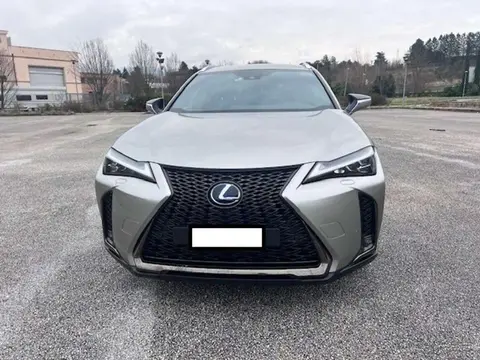 Annonce LEXUS UX Hybride 2021 d'occasion 