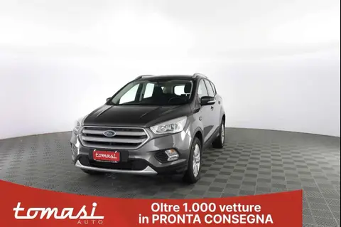 Annonce FORD KUGA Diesel 2019 d'occasion 