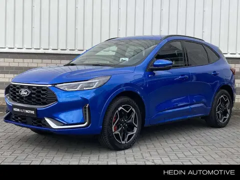 Annonce FORD KUGA Hybride 2024 d'occasion 