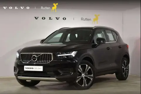 Annonce VOLVO XC40 Hybride 2022 d'occasion 