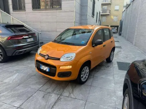 Used FIAT PANDA  2018 Ad 