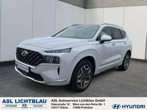 Annonce HYUNDAI SANTA FE Hybride 2023 d'occasion 