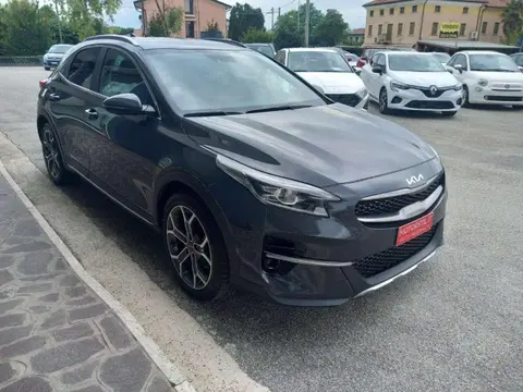 Used KIA XCEED Petrol 2022 Ad 