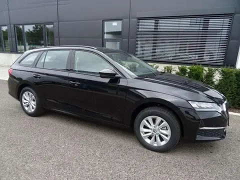 Annonce SKODA OCTAVIA Diesel 2024 d'occasion 