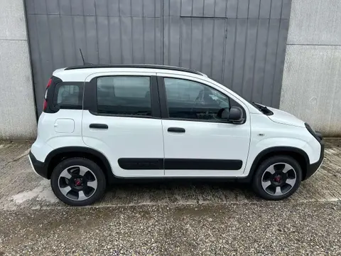 Annonce FIAT PANDA Hybride 2022 d'occasion 