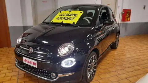 Used FIAT 500 Hybrid 2023 Ad 