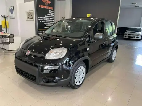 Annonce FIAT PANDA Hybride 2024 d'occasion 