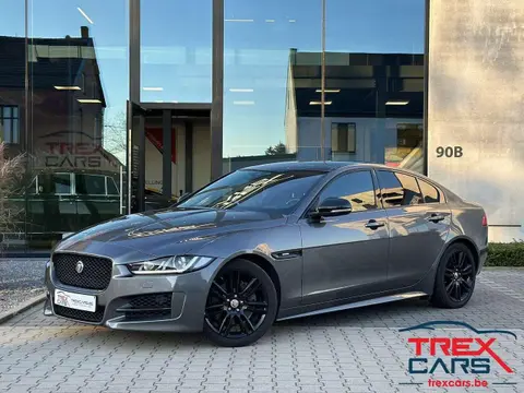 Used JAGUAR XE Diesel 2019 Ad 