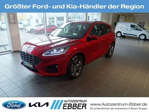 Used FORD KUGA Hybrid 2022 Ad 