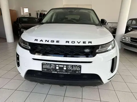 Used LAND ROVER RANGE ROVER EVOQUE Diesel 2020 Ad 