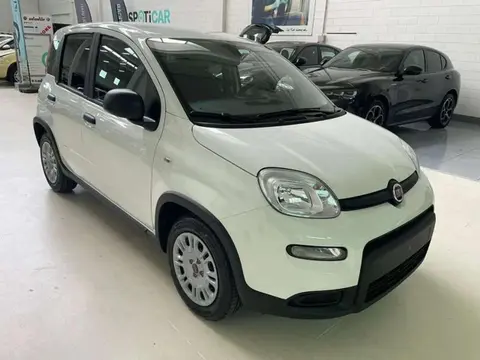 Used FIAT PANDA Hybrid 2024 Ad 