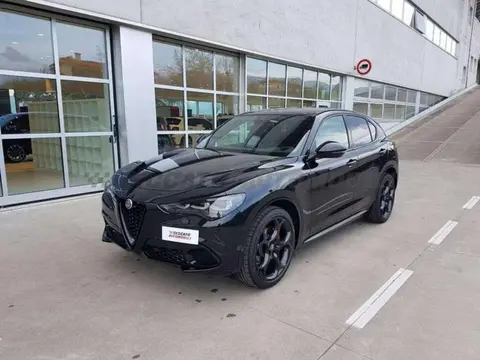 Used ALFA ROMEO STELVIO Petrol 2023 Ad 