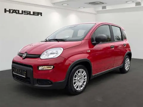 Annonce FIAT PANDA Hybride 2024 d'occasion 