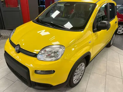 Used FIAT PANDA Petrol 2024 Ad 