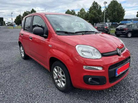 Annonce FIAT PANDA Essence 2018 d'occasion 