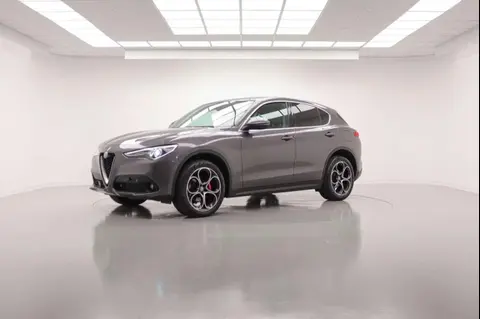 Used ALFA ROMEO STELVIO Diesel 2019 Ad 