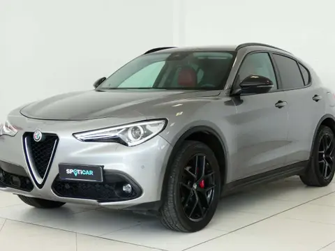 Used ALFA ROMEO STELVIO Diesel 2019 Ad 