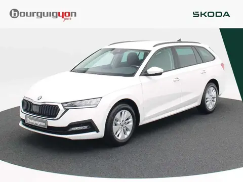 Used SKODA OCTAVIA Petrol 2024 Ad 