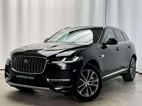 Annonce JAGUAR F-PACE Hybride 2022 d'occasion 