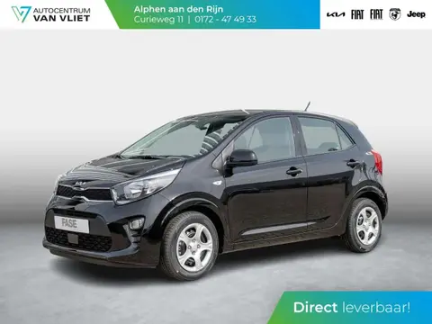 Used KIA PICANTO Petrol 2024 Ad 