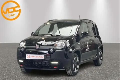 Used FIAT PANDA Petrol 2024 Ad 