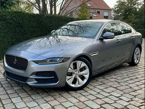 Used JAGUAR XE Diesel 2021 Ad 