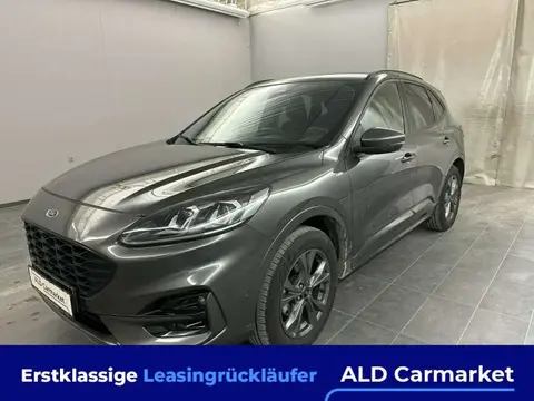 Used FORD KUGA Hybrid 2021 Ad 