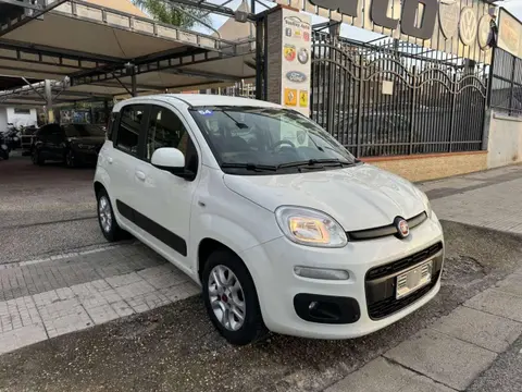 Used FIAT PANDA Petrol 2019 Ad 