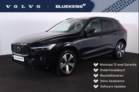 Used VOLVO XC60 Hybrid 2023 Ad 