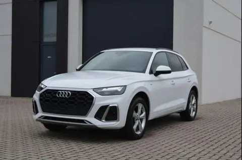 Used AUDI Q5 Hybrid 2021 Ad 