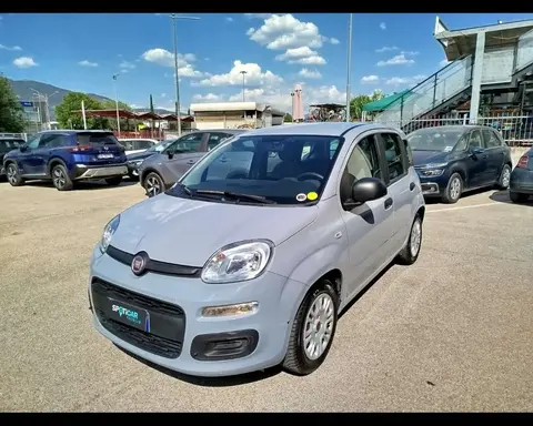 Annonce FIAT PANDA Hybride 2021 d'occasion 